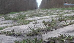 La Rétro Jean-Mi - Paris-Roubaix et sa trouée Wallers-Arenberg aux 275 000 pavés