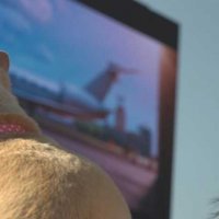 À Los Angeles, le record du monde du plus grand nombre de chiens assistant à une projection