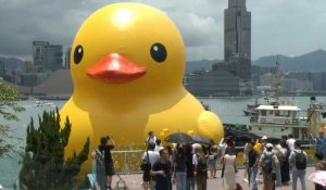 Le canard géant, symbole de paix, de retour dans la baie de Hong Kong