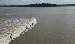 En Amazonie, une vague d'eau douce met les surfeurs au défi