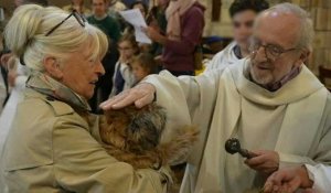 Des animaux de compagnie bénis dans une église lyonnaise