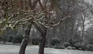 Il neige à Roubaix : le parc Barbieux est tout blanc