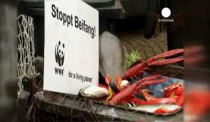 Pêche: accord des ministres européens pour interdire les rejets en mer