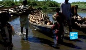 FRANCE 24 Environnement - ENVIRONNEMENT - Le lac Tchad, en voie de disparition ?
