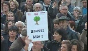 La fronde des opposants à l'abattage des arbres  (Nîmes)