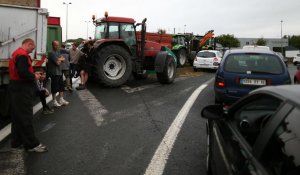 Prix de la viande : les éleveurs français manifestent leur colère