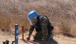 Chypre: une force de l'ONU s'active pour déminer la zone tampon