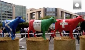 Les producteurs de lait manifestent à Bruxelles