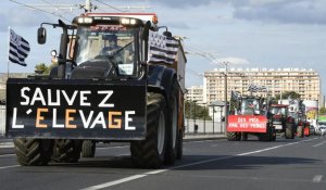 Manuel Valls lance un "message d'amour" aux agriculteurs