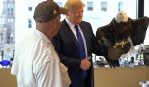 Donald Trump tente de dompter un aigle 