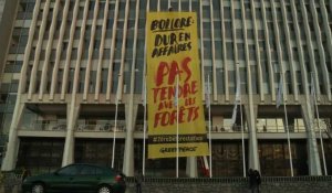 Déforestation: banderole de Greenpeace sur le siège de Bolloré