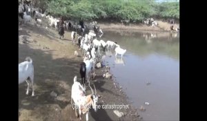 Nouvelle vague de sécheresse en Ethiopie