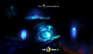 Ori and the Blind Forest : Definitive Edition - Perle de lumière
