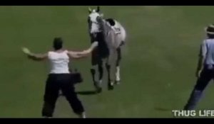 Une femme se fait violemment percuter par un cheval en essayant de l'arrêter (vidéo)