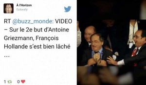 François Hollande hilare lors de France-Allemagne: les internautes se déchaînent