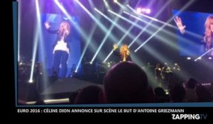 Euro 2016: Céline Dion annonce le but sur penalty d'Antoine Griezmann en plein concert (Vidéo)