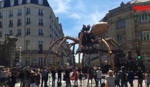 Nantes: une araignée géante se balade dans les rues de la ville