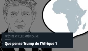 Et si les pires déclarations de Trump étaient pour l'Afrique ?