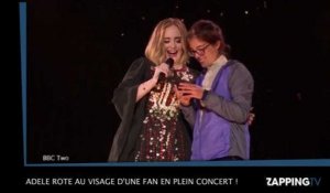 Adele rote au visage d'une fan en plein concert ! (VIDEO)