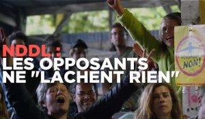 Notre-Dame-des-Landes : "On ne bougera pas d'ici"