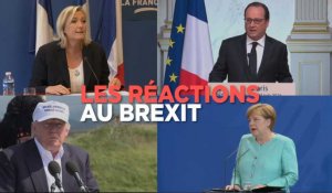 Brexit : Hollande, Trump, Rajoy, Merkel et Le Pen réagissent