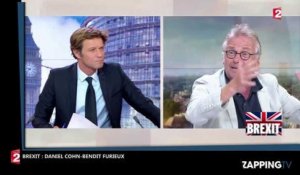 Brexit - Daniel Cohn-Bendit pousse un coup de gueule : "C'est la victoire du mensonge" (Vidéo)