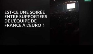 Adele interrompt son concert pour diffuser le match France-Roumanie