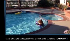 Etats-Unis : Une famille découvre un ours dans sa piscine ! (VIDEO)