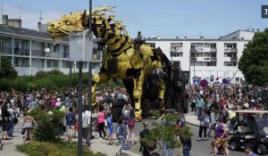 Timelapse : le cheval-dragon, Long Ma, sillonne Calais