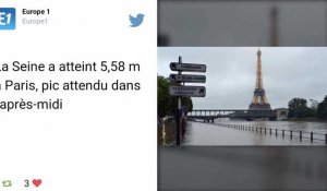 Crue de la Seine : les photos et inquiétudes partagées par les internautes