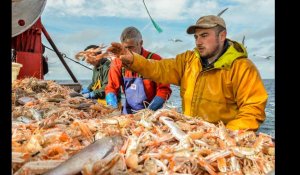 La langoustine