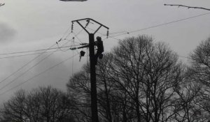 Tempête en Bretagne: chutes d'arbres et coupures d'électricité