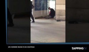 Un homme armé d'un couteau à Gare du Nord provoque un mouvement de panique (vidéo)