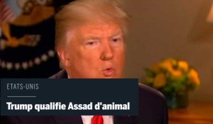 Pour Donald Trump, le président syrien Bachar Al-Assad est un « animal »