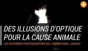 Des illusions d'optique pour la cause animale 