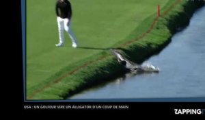 USA : un golfeur vire un alligator du green d'un coup de main
