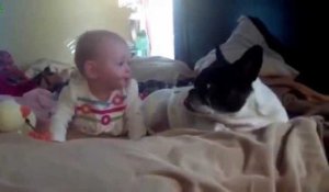 Un bébé caresse pour la première fois un petit chien !