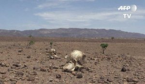 Kenya : le Turkana a l'épreuve de la sécheresse