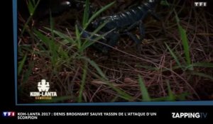 Koh-Lanta 2017 : Denis Brogniart sauve Yassin de l'attaque d'un scorpion (Vidéo)