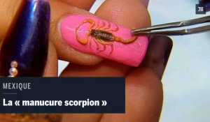 "Mexican manucure" : un scorpion mort sur l'ongle