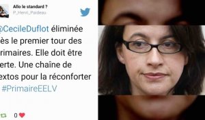 Primaire EELV : Cécile Duflot éliminée, Yannick Jadot et Michèle Rivasi qualifiés