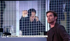 En cage depuis 3 jours pour soutenir la SPA, Rémi Gaillard demande l'aide de Vincent Bolloré ! (Vidéo)