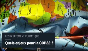 Cop22 : les enjeux de la réunion sur le climat en trois questions