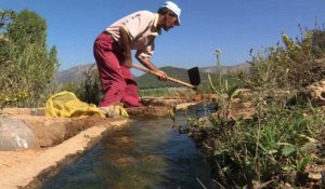 Au Maroc, "l'eau solaire" pour faire revenir les agriculteurs