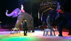 Le cirque Medrano à Quimper, tout un spectacle 