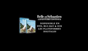 Belle et Sébastien: L'aventure continue - Disponible en vidéo