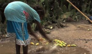 La sécheresse engendre une malnutrition sévère à Madagascar
