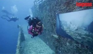 Floride: une exposition de photos à 27 mètres de profondeur