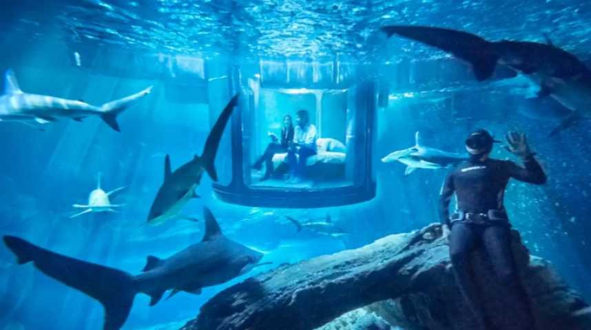 L'Aquarium de Paris propose un refuge pour poissons rouges
