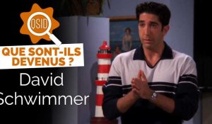 Que devient David Schwimmer (Ross Geller dans Friends) ?